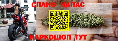 крисы Партизанск