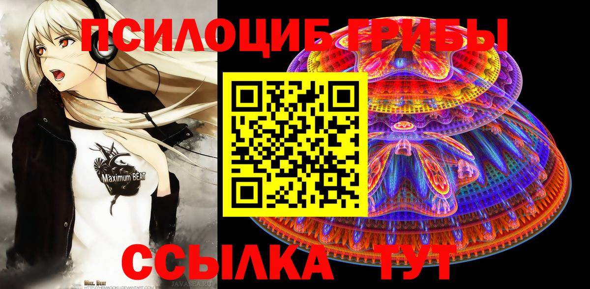 Сунжа  Галлюциногенные грибы GOLDEN TEACHER  наркошоп  Галлюциногенные грибы ЛСД  Вход с VPN 