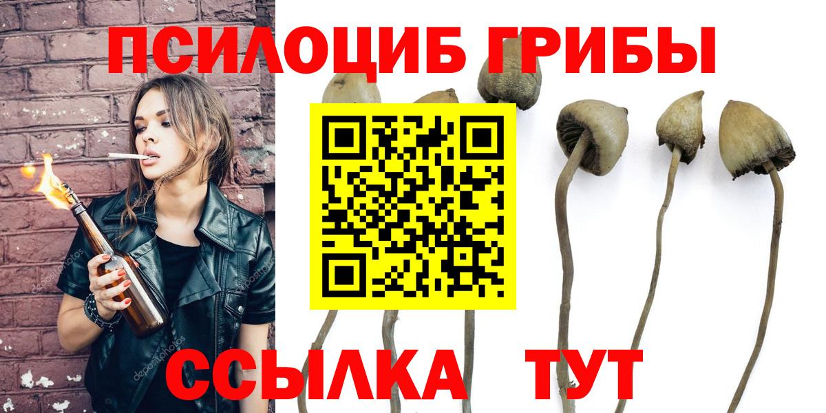 Псилоцибиновые грибы Psilocybe Сунжа